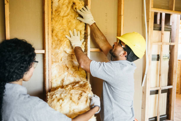 Best Attic Insulation Installation  in Halesite, NY