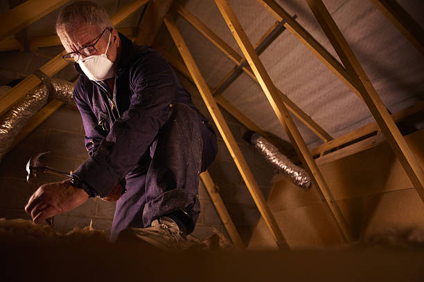 Best Home Insulation Services  in Halesite, NY